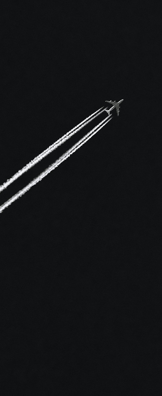 fighting jet